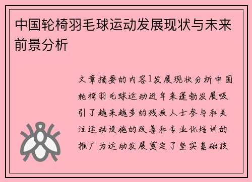 中国轮椅羽毛球运动发展现状与未来前景分析