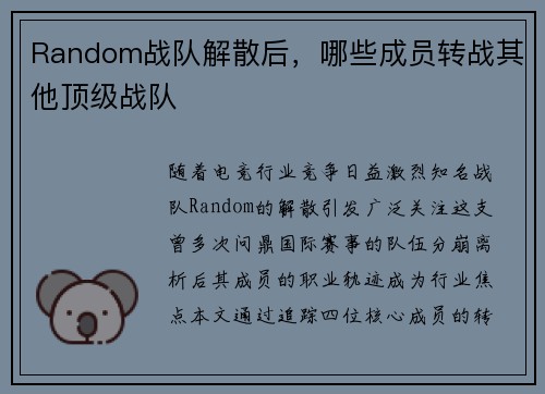 Random战队解散后，哪些成员转战其他顶级战队